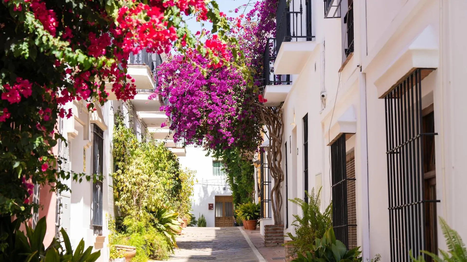 Puerto Banus Paradise 4 Dormitorios Dama De Noche Marbella